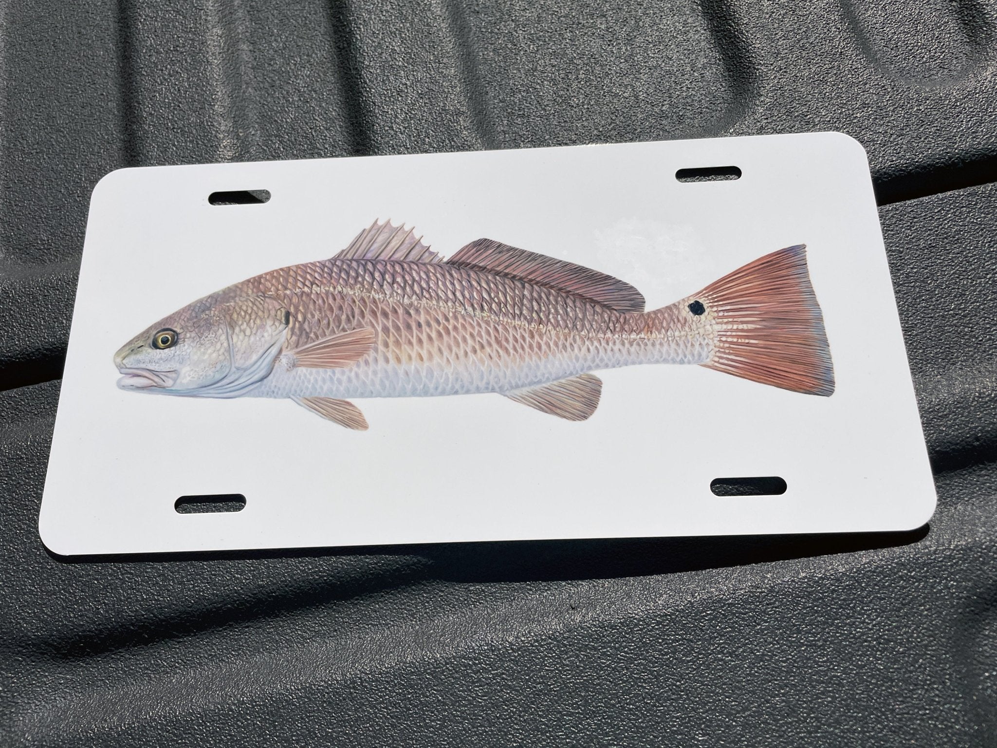 Red high quality Hogfish Front License Plate, License Plate Fishing, Front Fish License Plate, License Plate Men, License Plate Art, Plate Frame