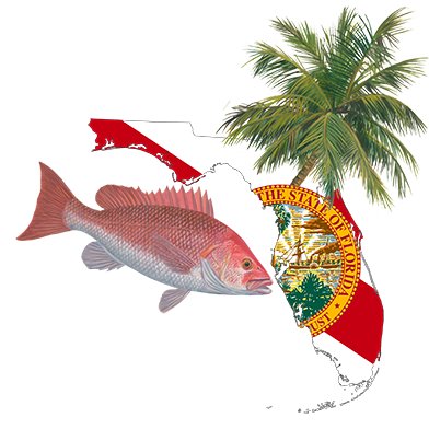 2024 Florida Red Snapper Season - Skiff Life