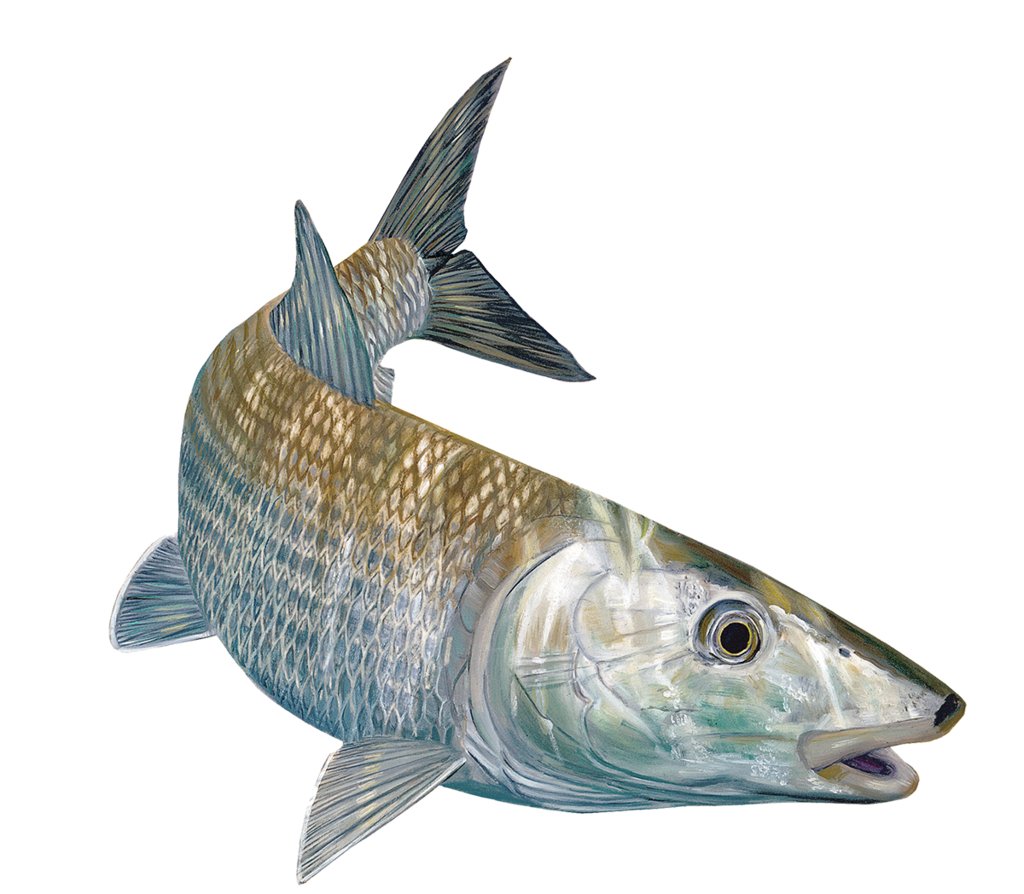 Bonefish Decals - Skiff Life