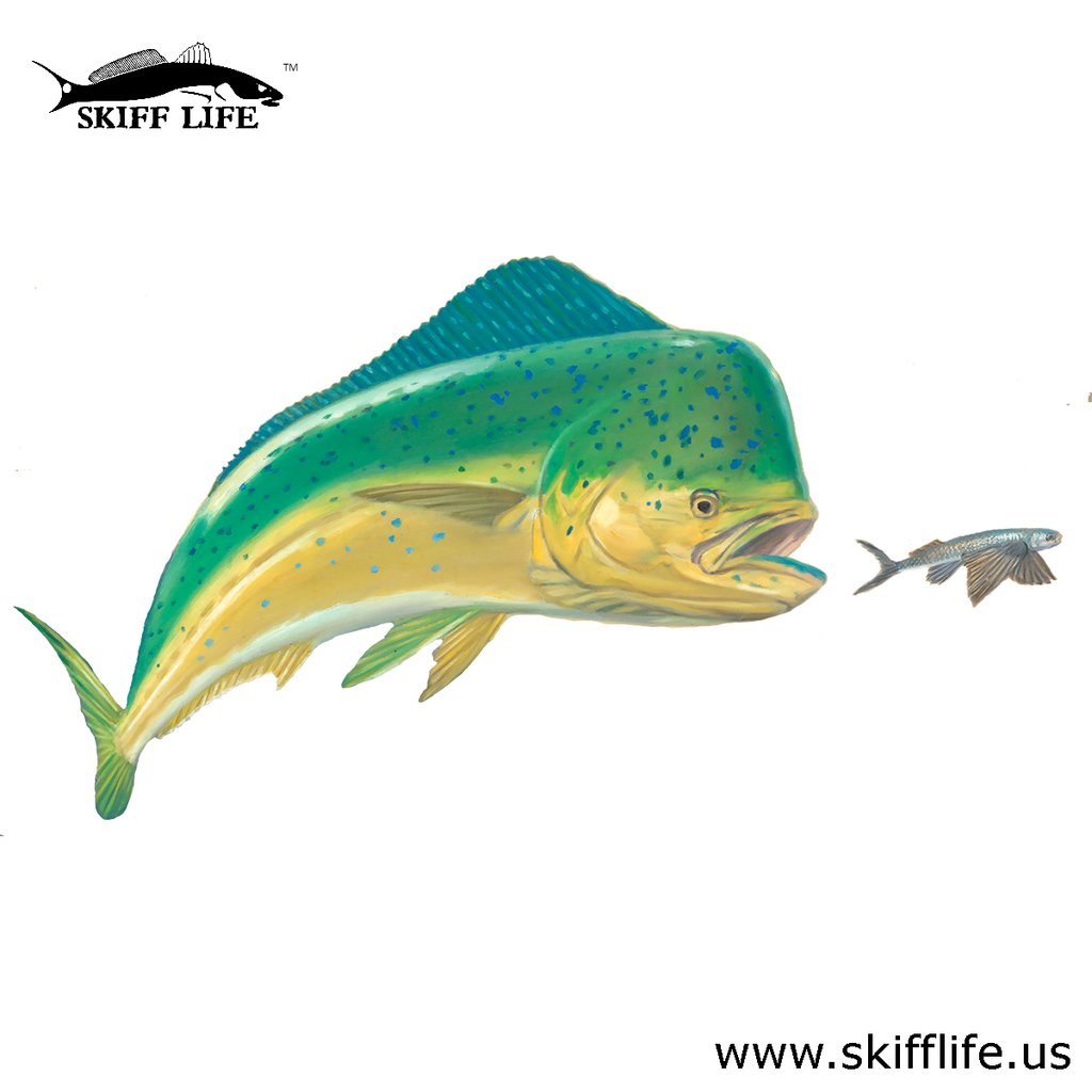 Mahi Dolphin Fishing Decal - Skiff Life