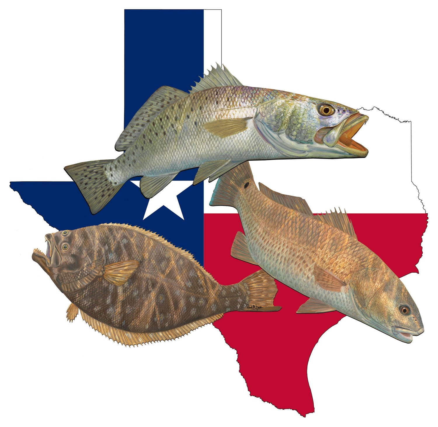 Texas Collection of Decals, Shirts and Hats - Skiff Life