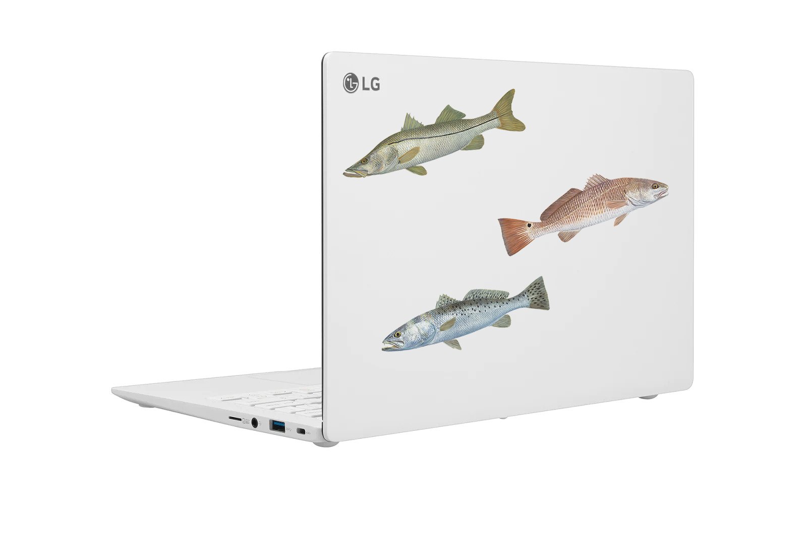 50% Off! Qty. 3 Trout, Snook, Redfish 4" X 1" Mini Fishing Decals - Skiff Life