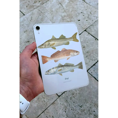 50% Off! Qty. 3 Trout, Snook, Redfish 4" X 1" Mini Fishing Decals - Skiff Life