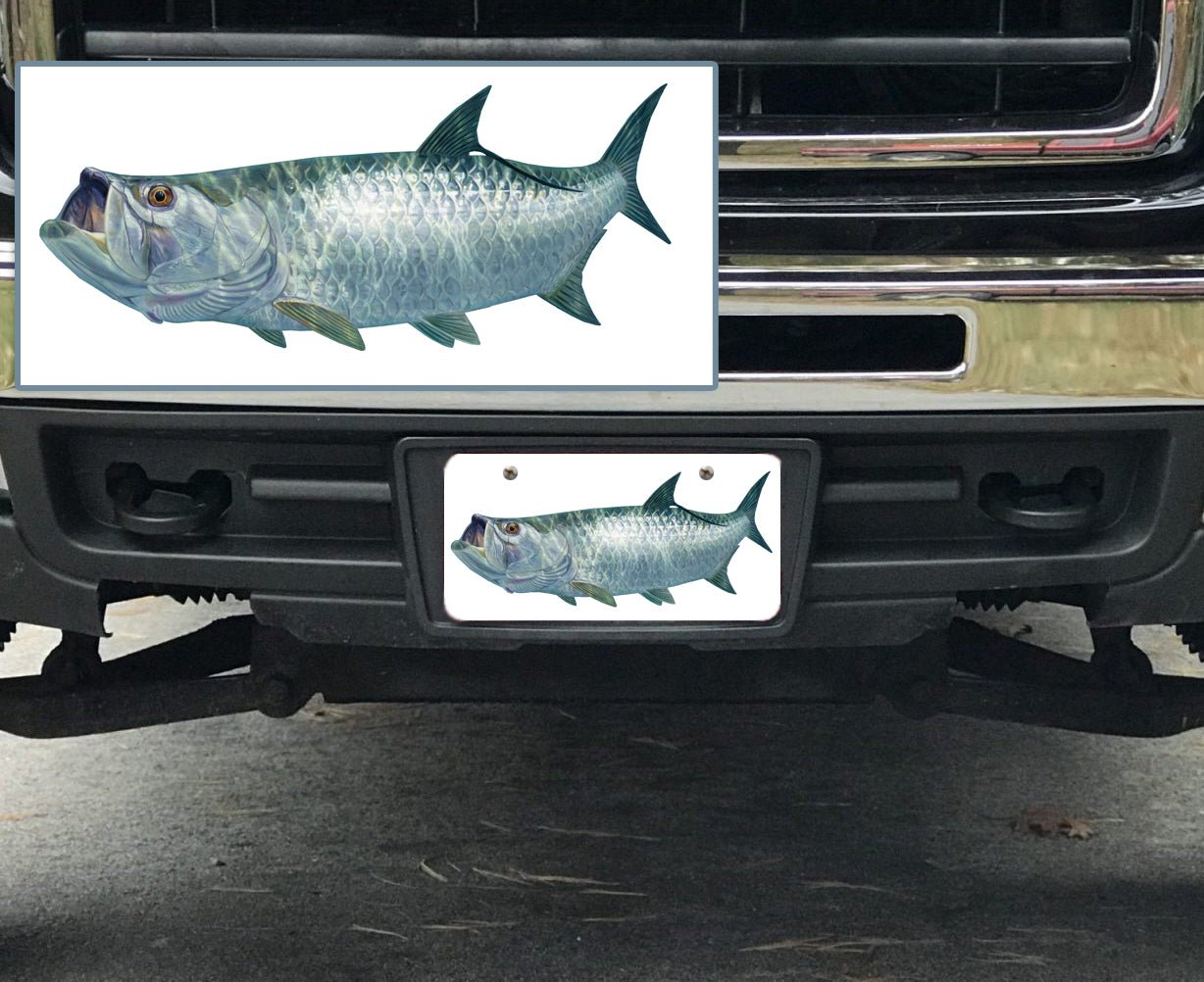 Custom Fishing License Plate Covers | Personalized Fish License Tag Frames for Cars, Trucks, SUVs - Skiff Life