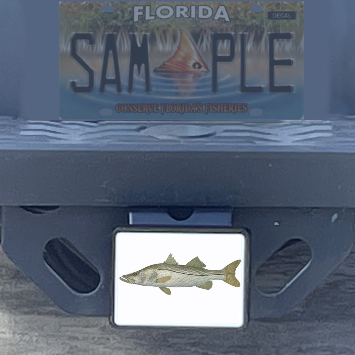 Custom Trailer Hitch Covers - Skiff Life