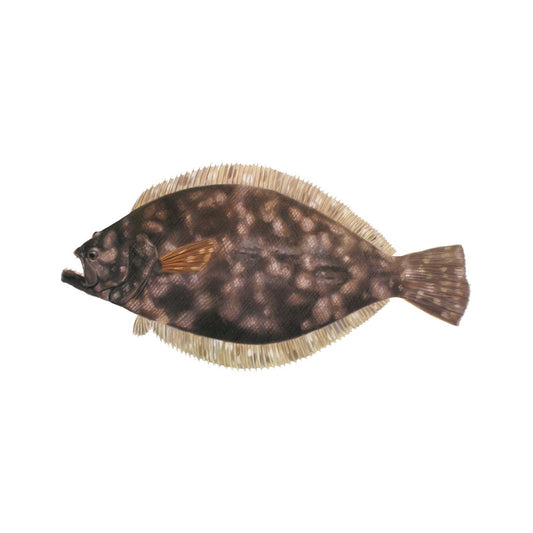 Mini Flounder Fishing Decal For Tumblers, Tackle Boxes etc. - Skiff Life