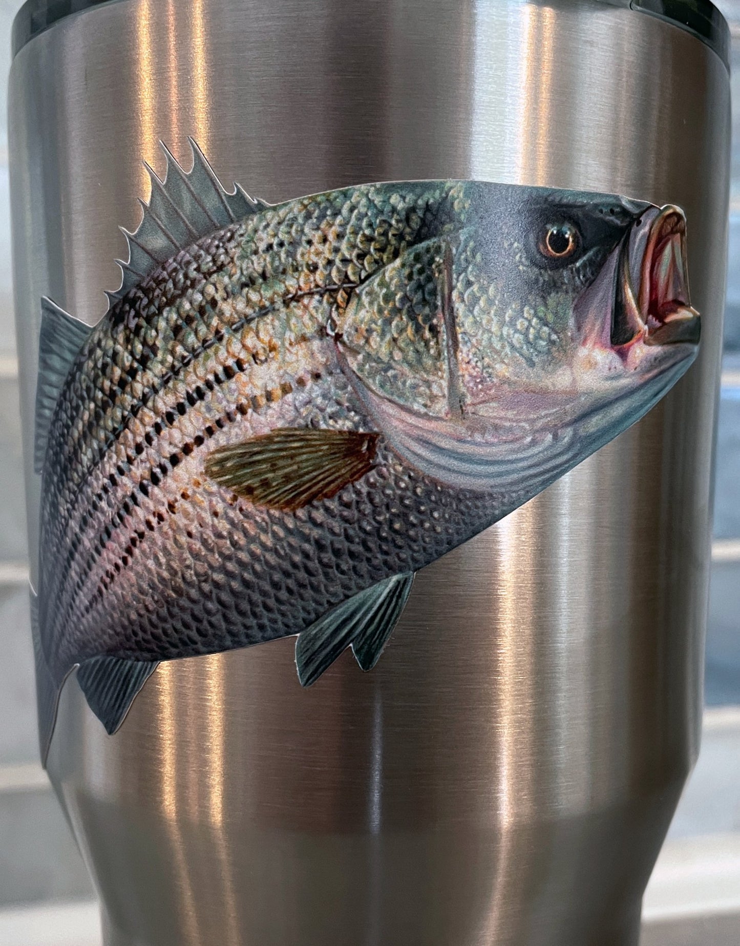 Mini Striped Bass Decal Striper Stickers - Skiff Life