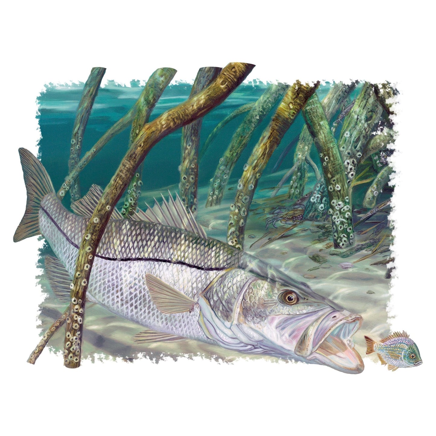 Mangrove Snook Fish Shirts with Scale Sleeve, UV Protected, Moisture Wicking Florida Fishing Apparel | Skiff Life