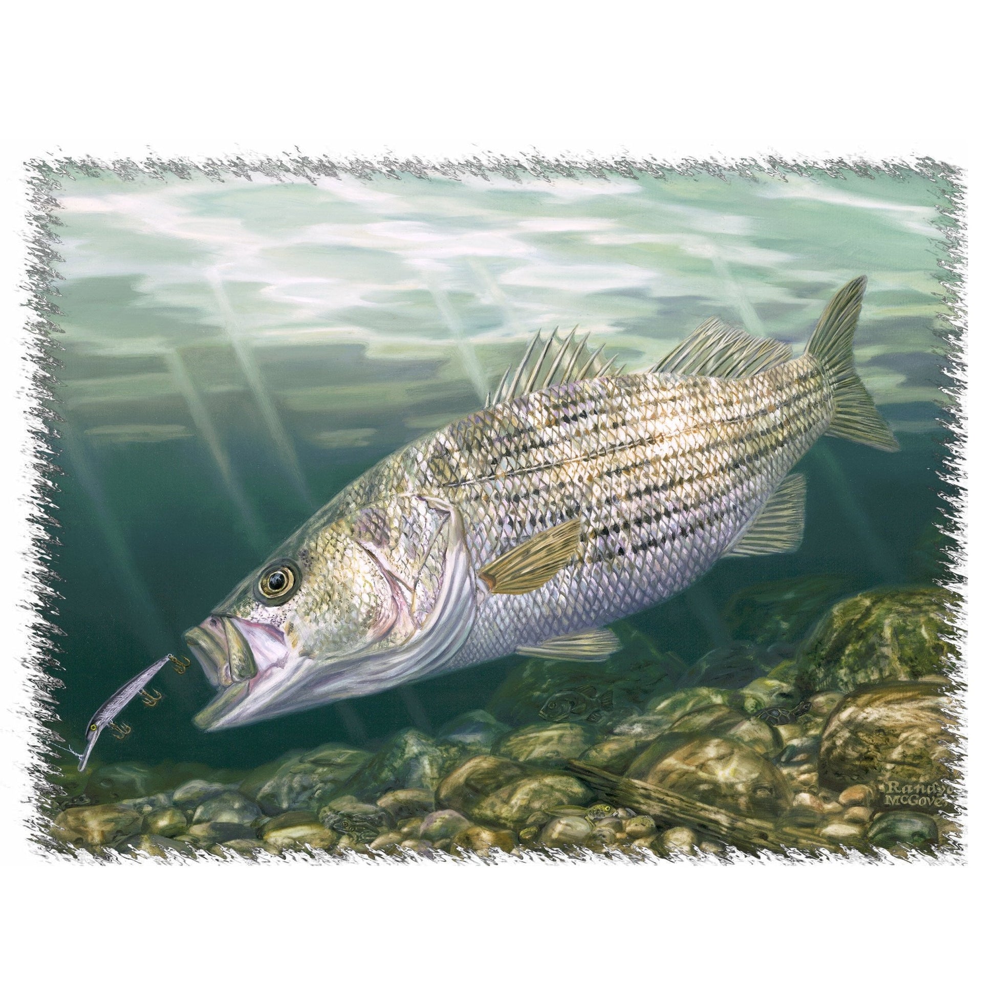 [New] Striper Fishing Shirts for Men with Striped Bass Fish Artwork - Skiff Life