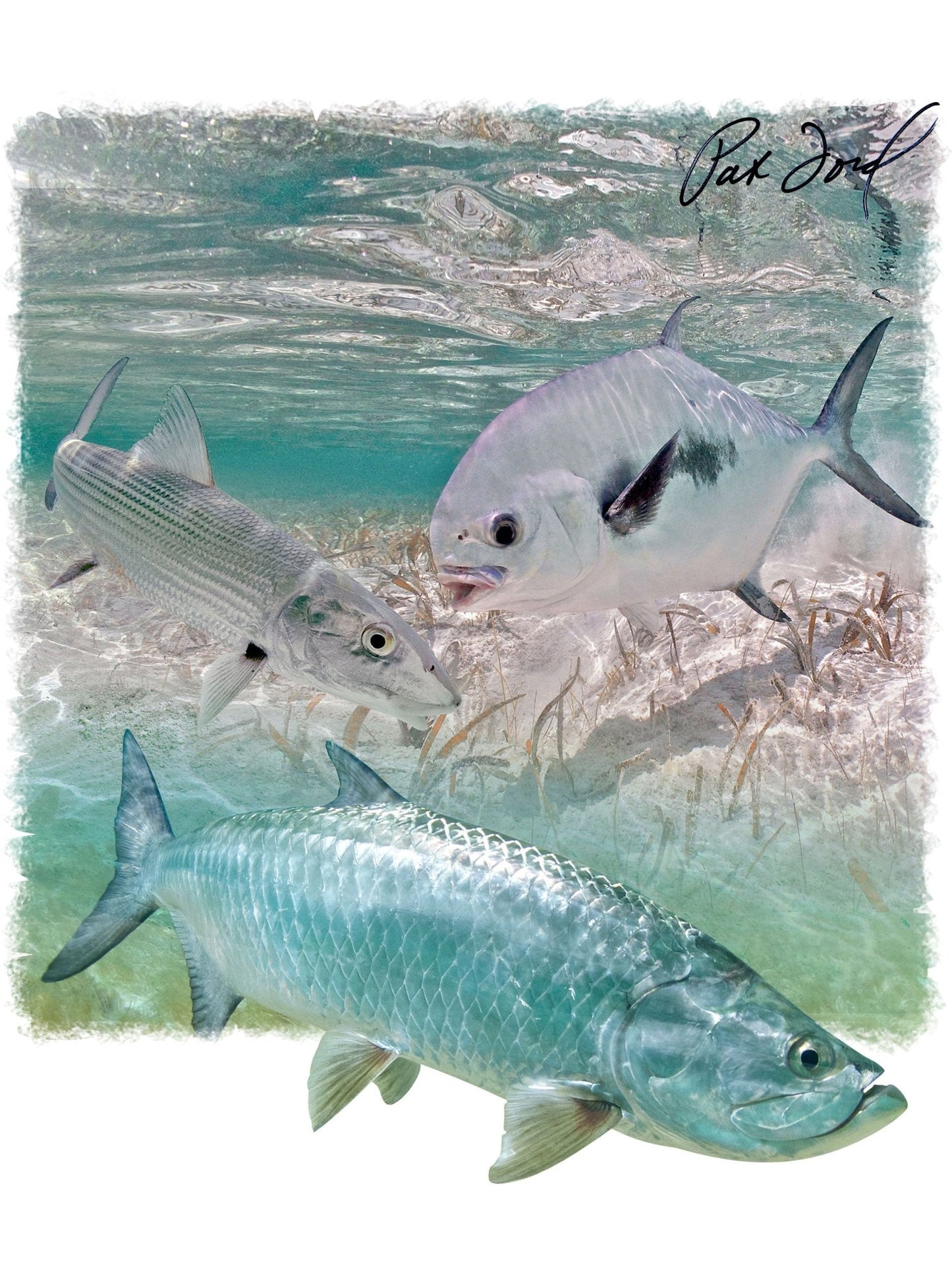 Pat Ford Key West Slam Tarpon Bonefish & Permit Fishing Shirt - Skiff Life