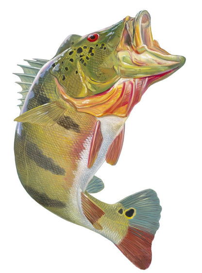 Peacock Bass Decals Lifelike Mini Yeti Stickers - Skiff Life