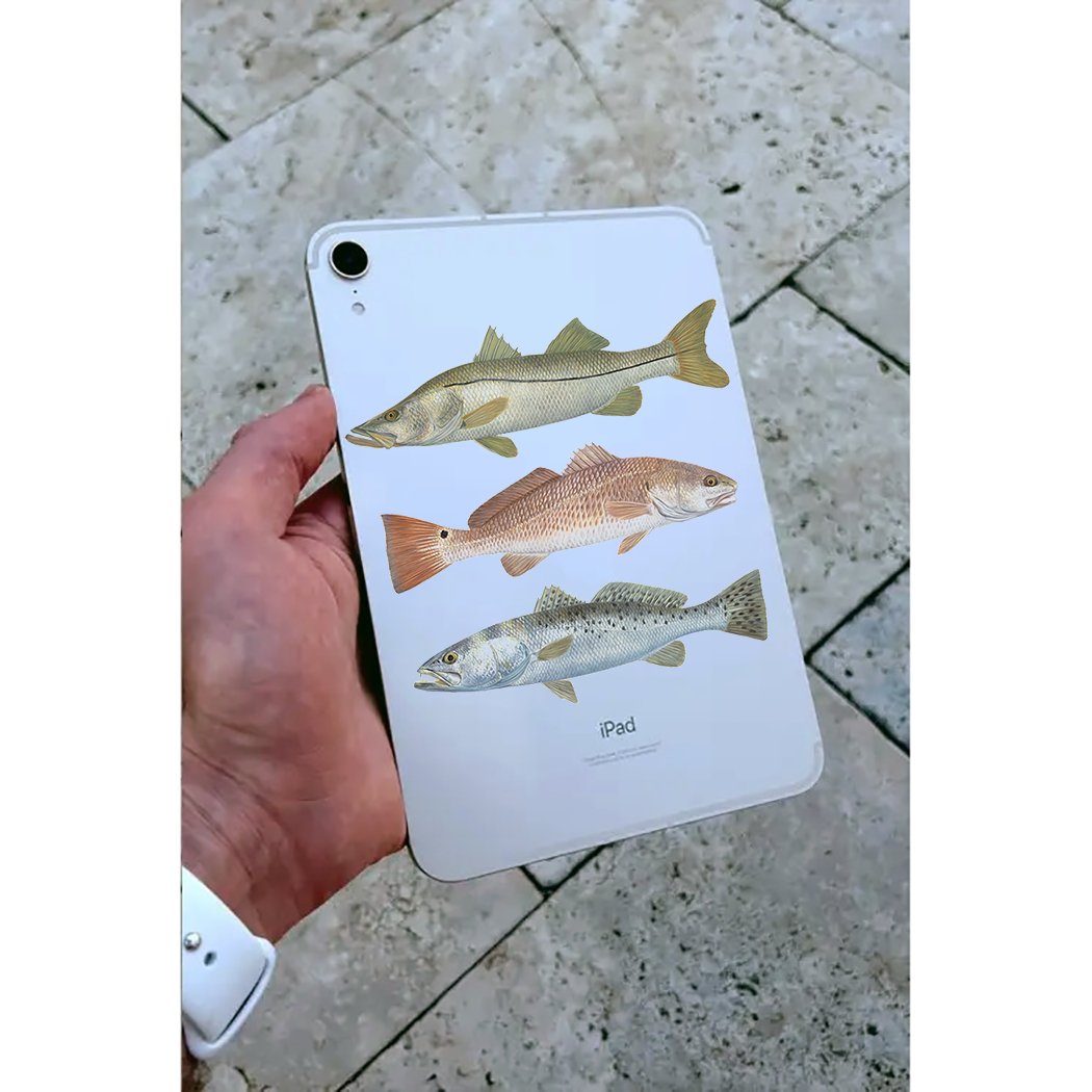 Qty. 3 Trout, Snook, Redfish 4" X 1" Fishing Decals Mini Yeti Stickers - Skiff Life