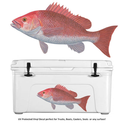 Red Snapper Decal UV - Protected Vinyl Red Snapper Sticker for Cars, Trucks, Boats by Skiff Life - Skiff Life