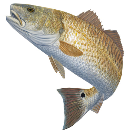 Redfish Decal Red Hot - Skiff Life