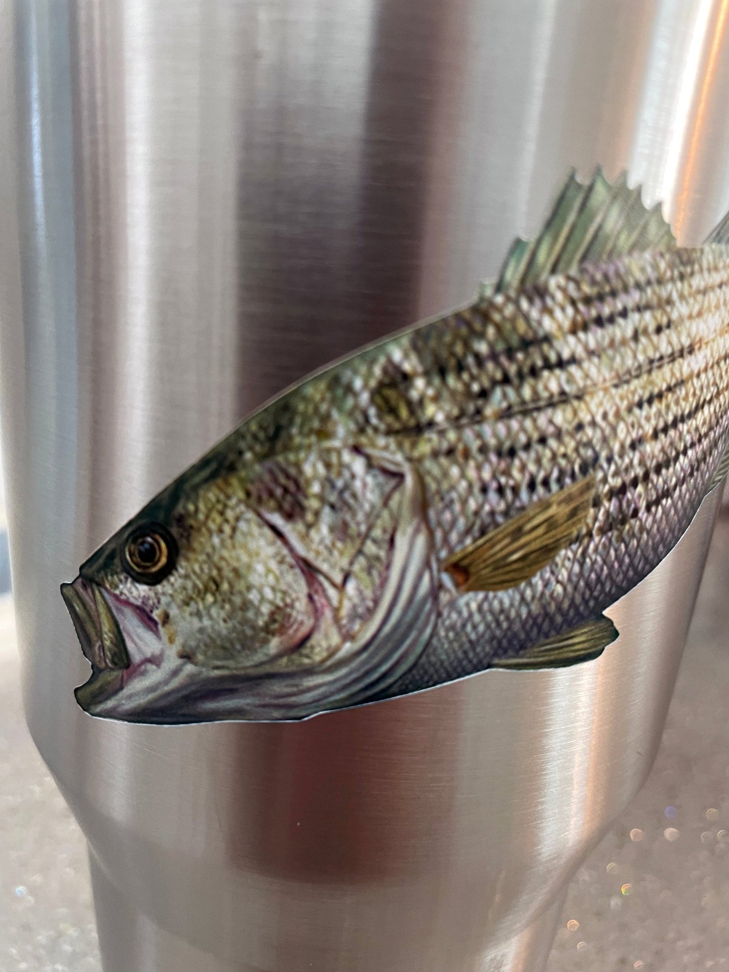 Rockstar Mini Striped Bass YETI Cup Decal Striper - Skiff Life