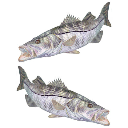 Snook Mangrove Monster Mini Fish Stickers - Skiff Life