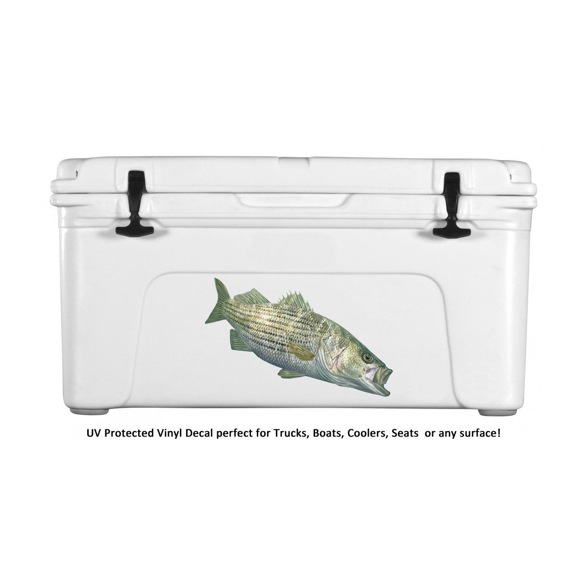 Striper Fish Stickers Authentic Striped Bass Decal by Randy McGovern Art - Skiff Life