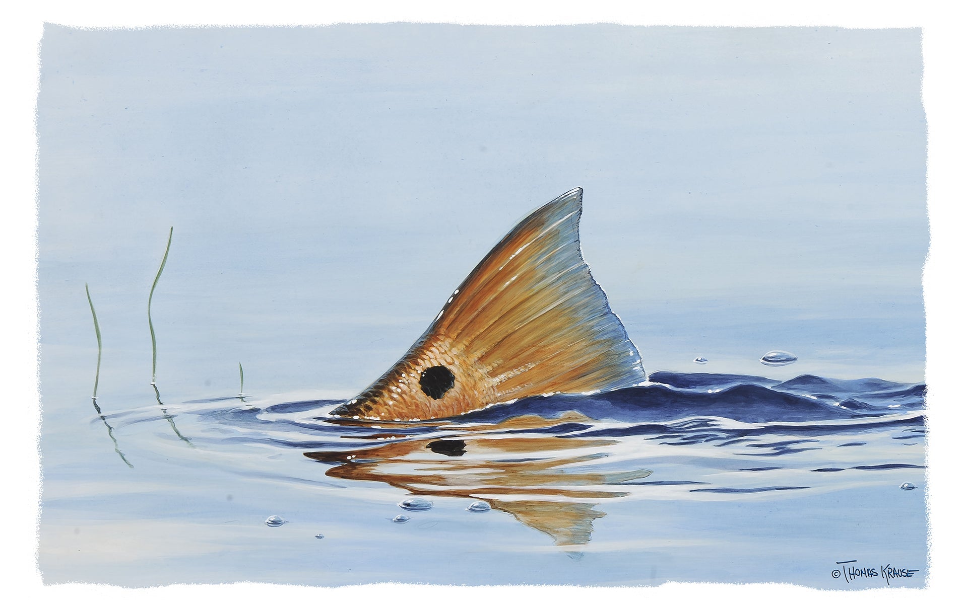 Tailing Redfish with Ripples Hoodie optional Flag Sleeve - Skiff Life