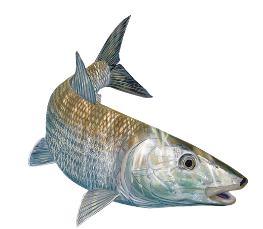 Bonefish Decals by Randy McGovern - Skiff Life