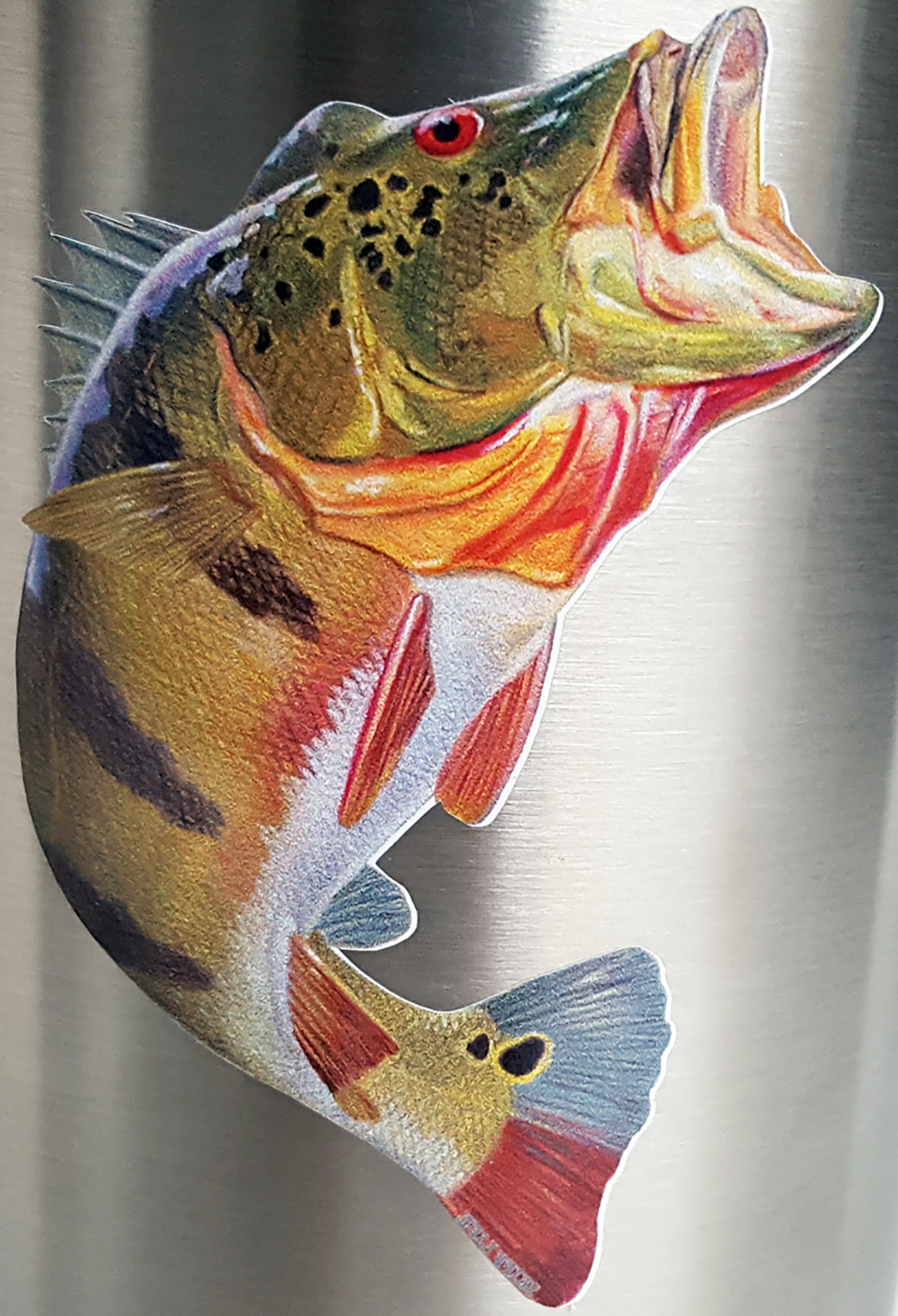 Bass Fishing Sticker Rude Awakening Bass Decal Randy McGovern Fish Art