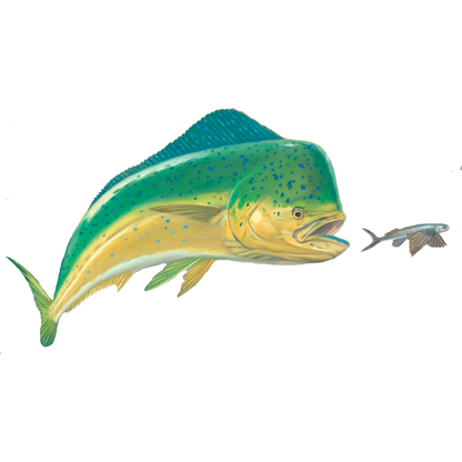 Mahi Dolphin Fishing Decal - Skiff Life