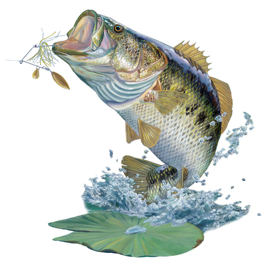Bass Fishing Stickers – Skiff Life